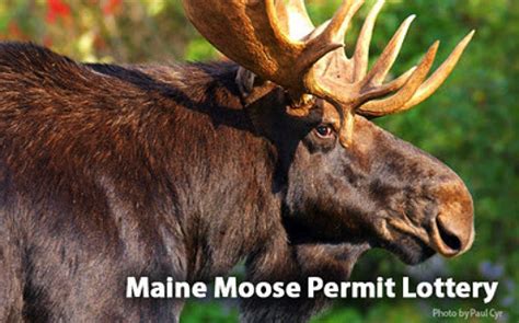 ( NEWS10) – This week, the state of <b>Vermont</b> has opened the doors for <b>applications</b> to the state <b>moose</b> <b>lottery</b>. . Vermont moose lottery application